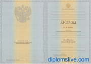 Специалист 2011-2013